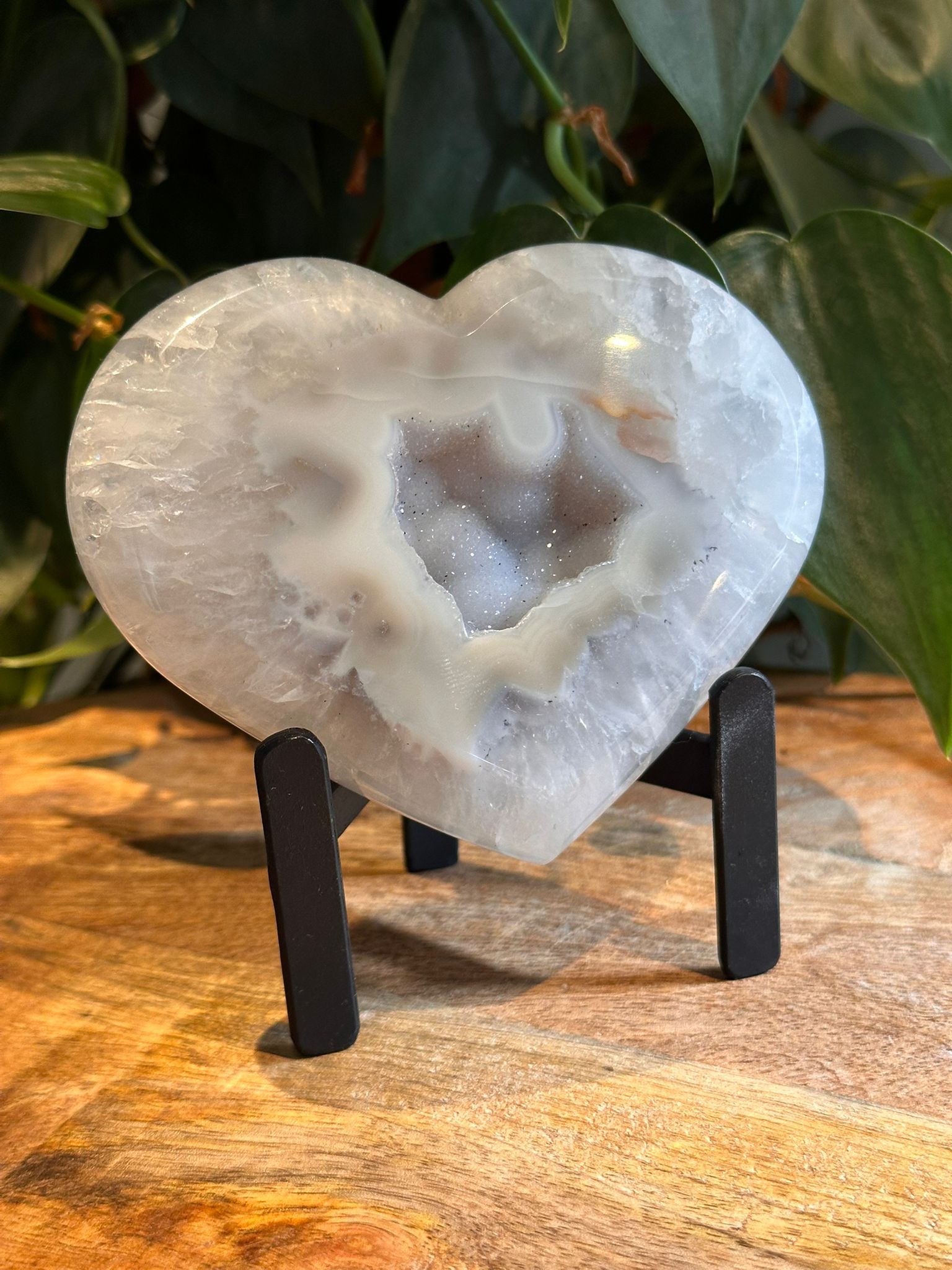 Agaat Hart op Standaard #37