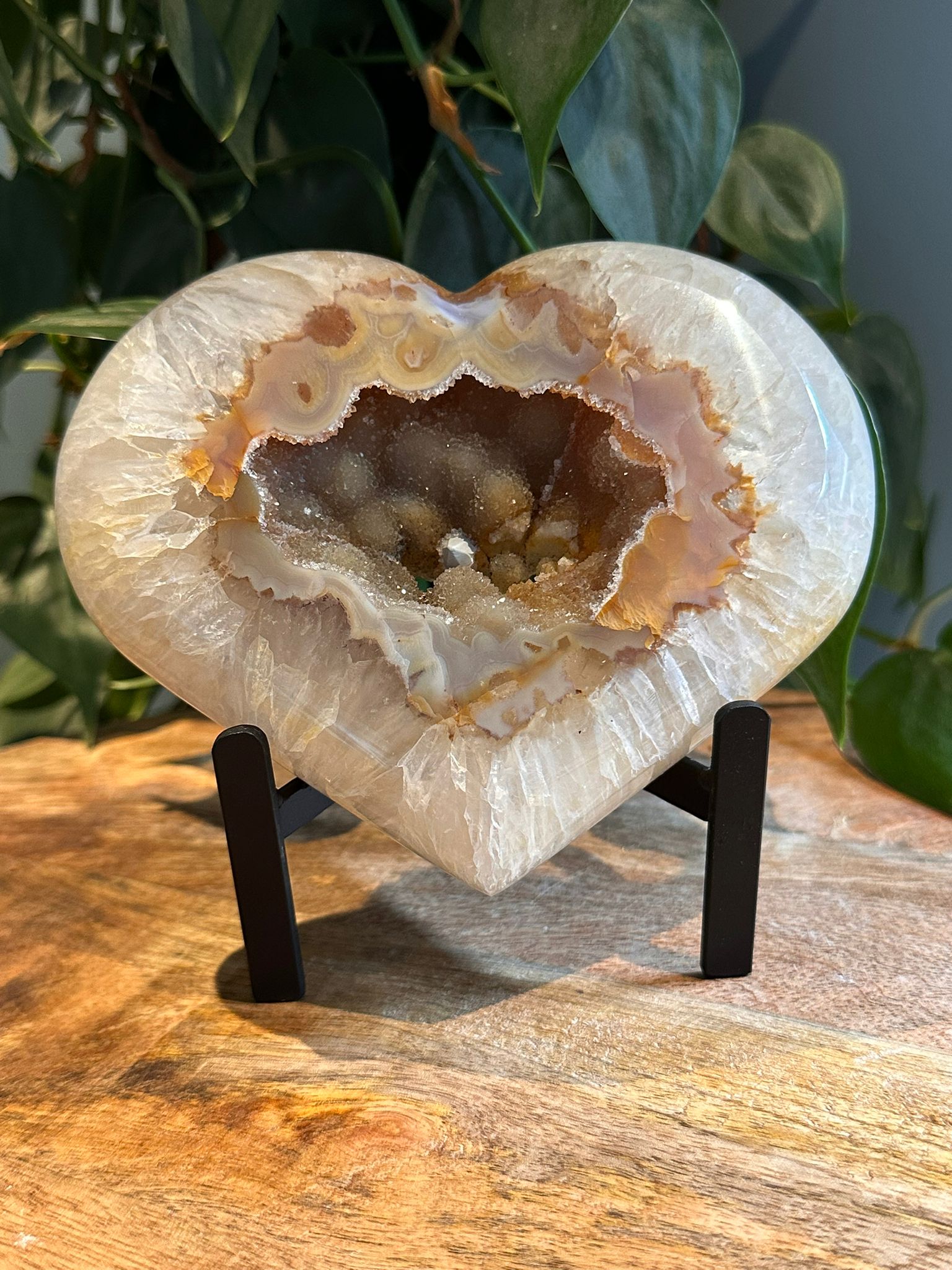 Agaat Hart op Standaard #38