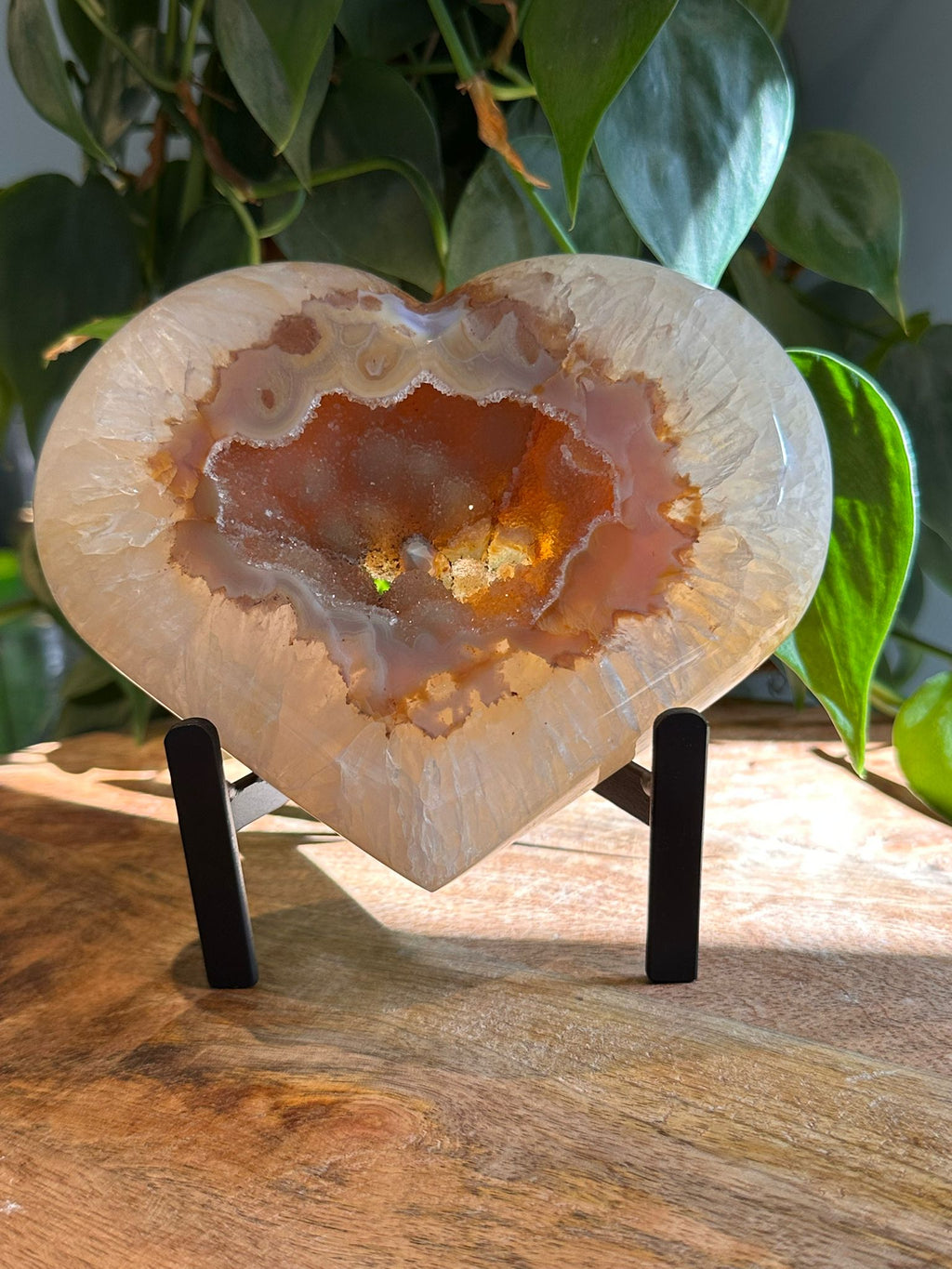 Agaat Hart op Standaard #38