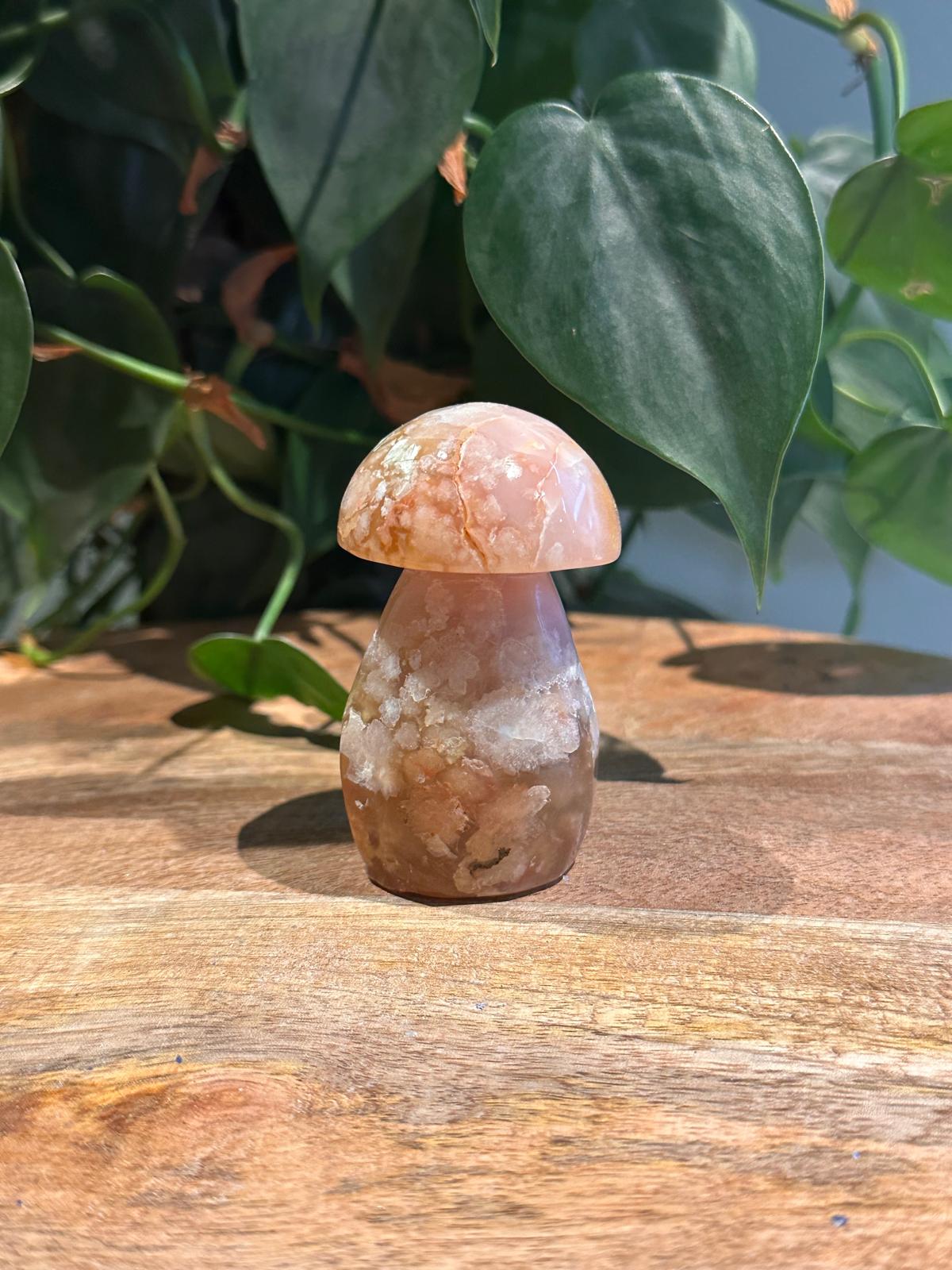 Roze Ammethist met Bloemagaat Paddenstoel