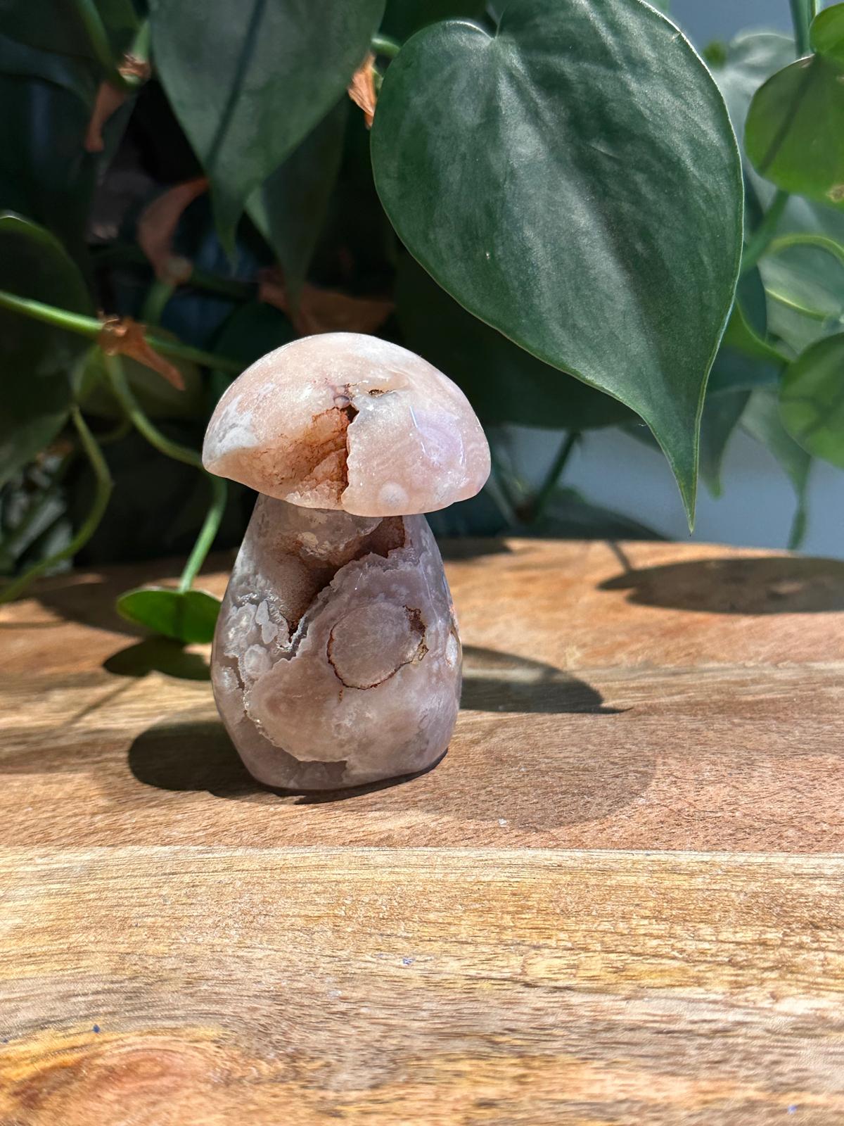 Roze Amethist Paddenstoel