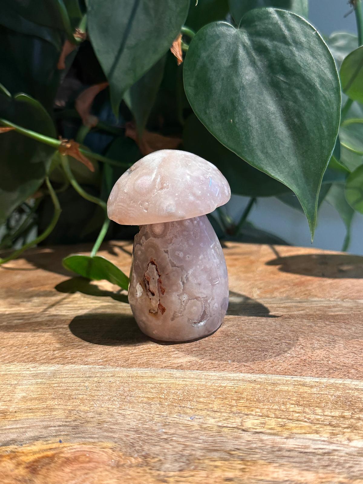 Roze Amethist Paddenstoel