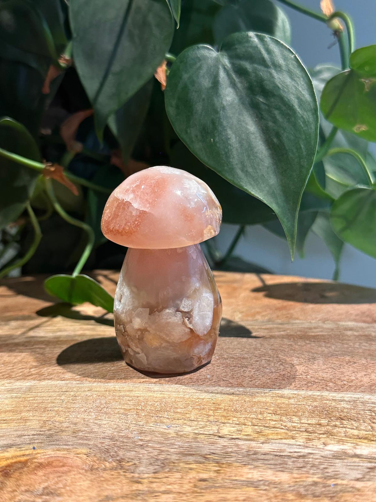 Roze Ammethist met Bloemagaat Paddenstoel