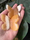 Gele Calciet 3-D Vlinder