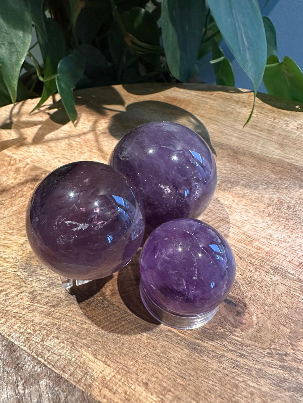Amethist Bollen AA kwaliteit