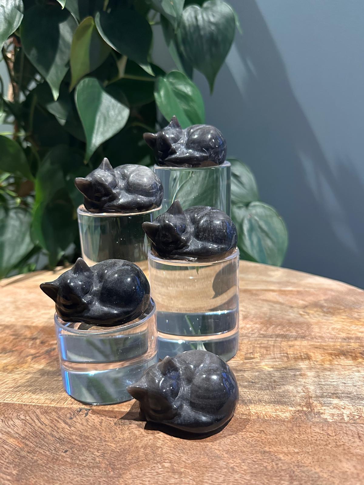 Zilver Obsidiaan Kat