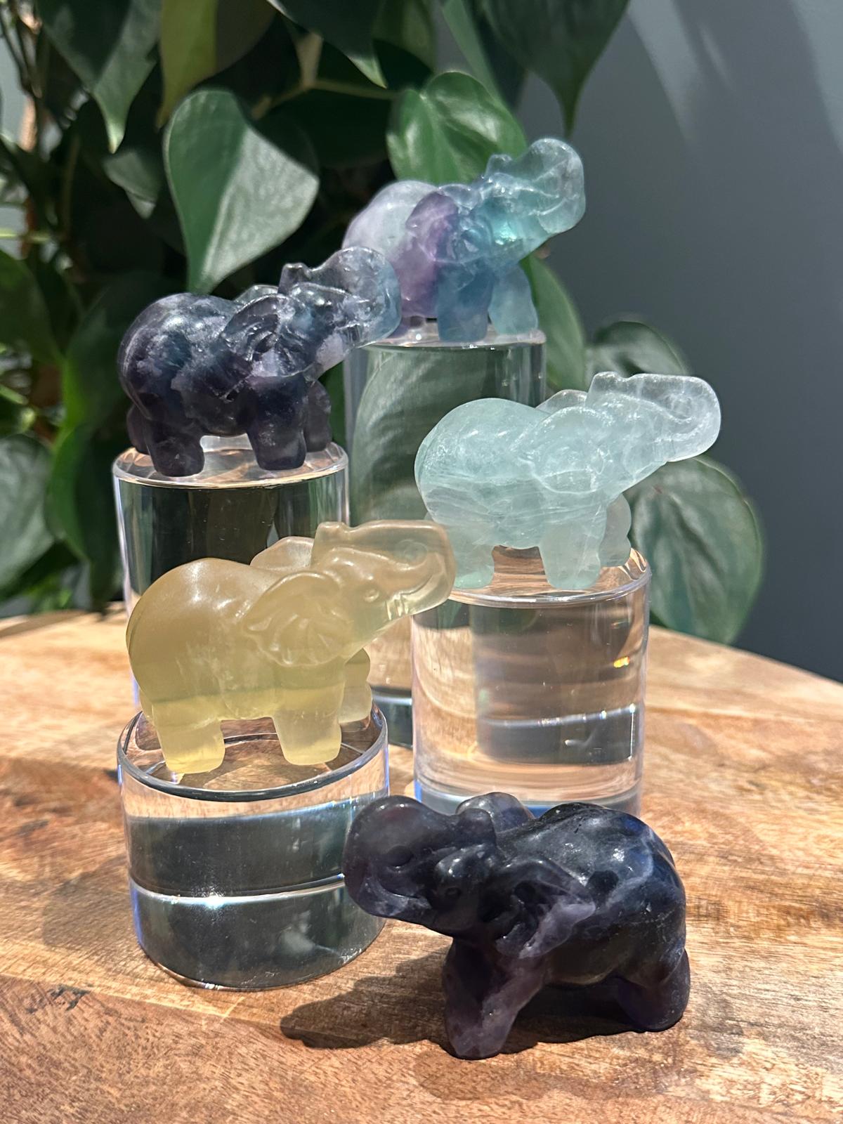 Fluoriet Olifantjes (geluks)