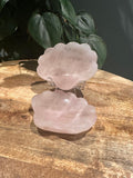Rozenkwarts Schaaltje vorm Schelp