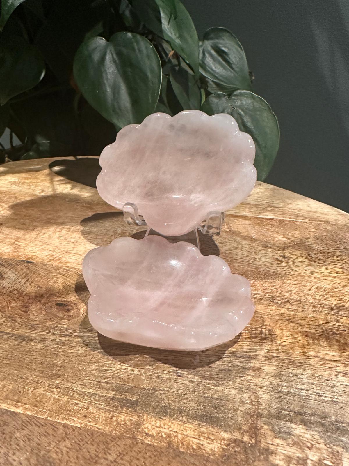 Rozenkwarts Schaaltje vorm Schelp