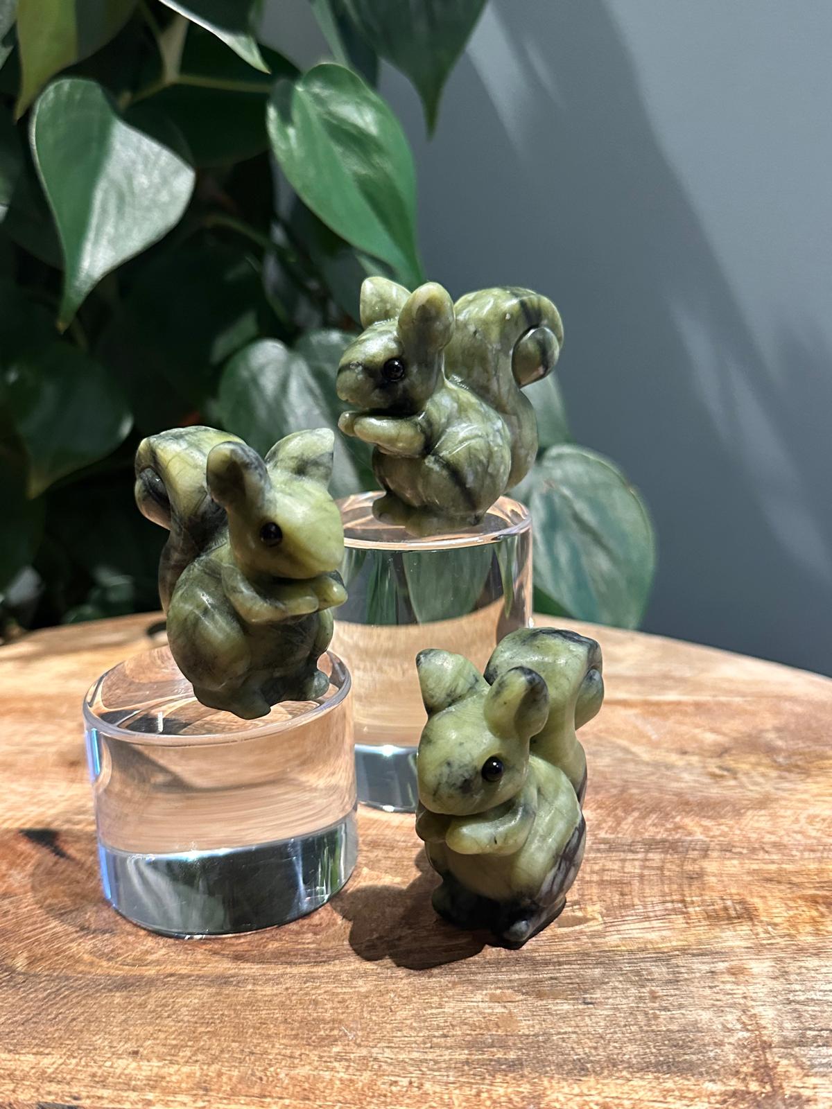 Groene Jade Eekhoorntjes