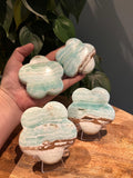 Caribbean Blue Calciet Bloemen