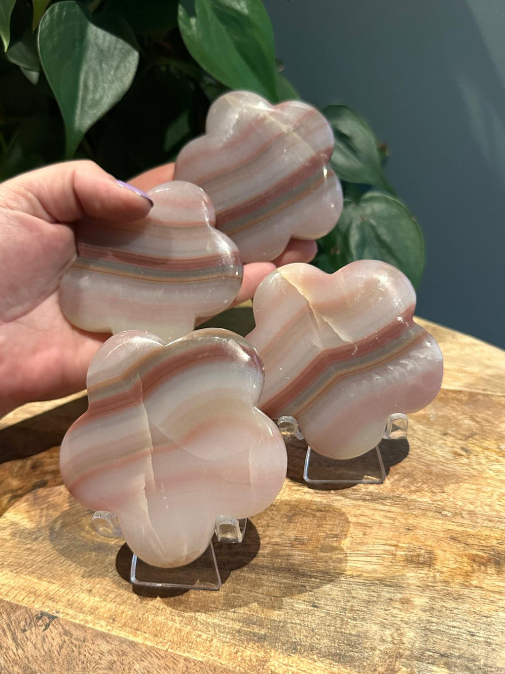 Pink Banded Onyx Bloemen