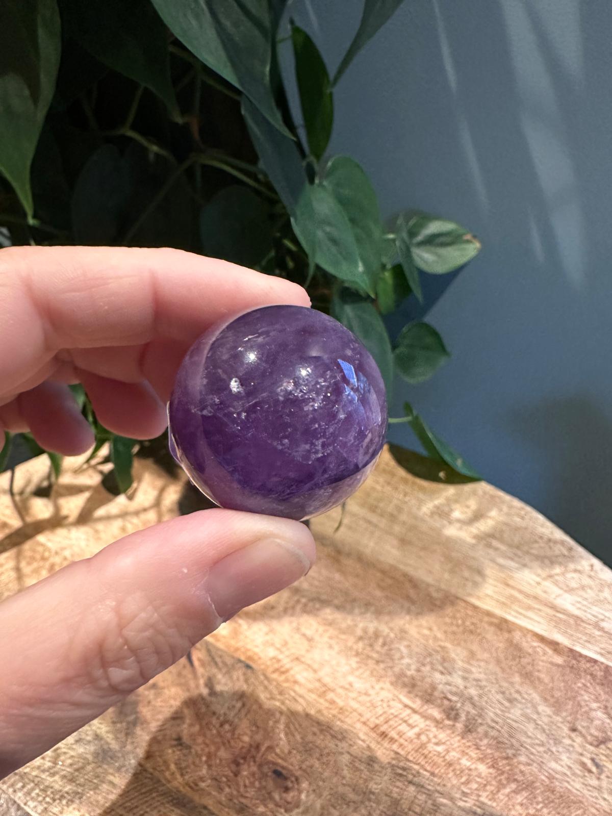 Amethist Bollen AA kwaliteit