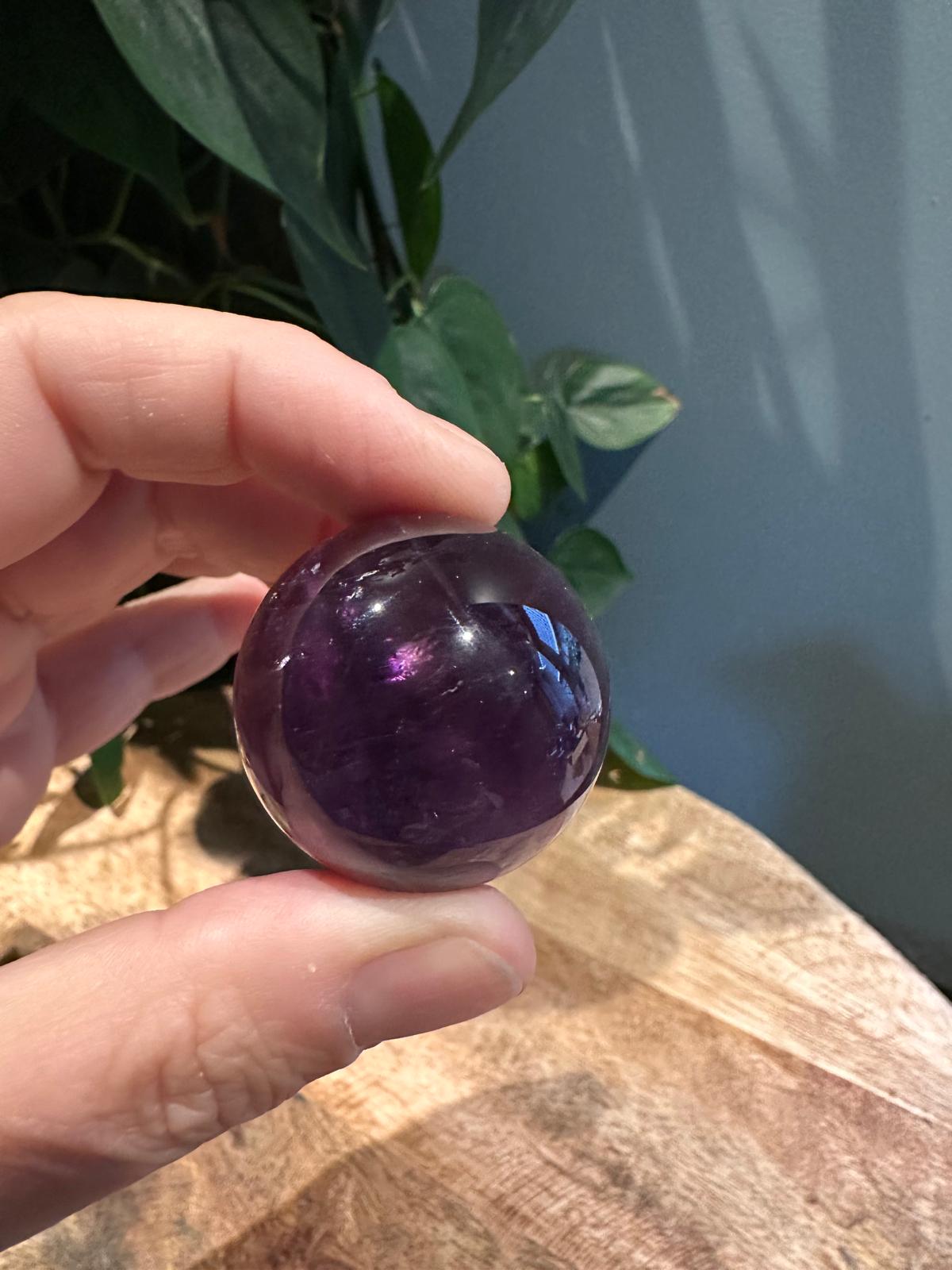 Amethist Bollen AA kwaliteit