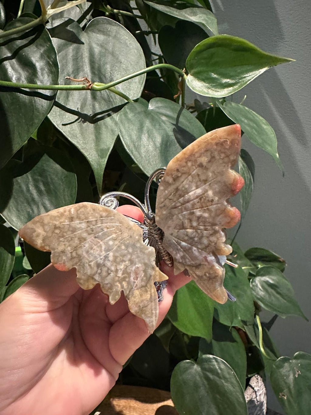 Schitterende Vlinders