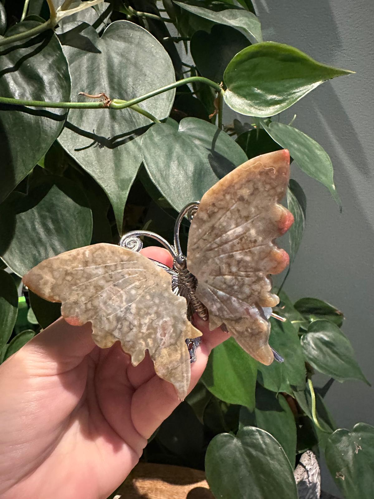 Schitterende Vlinders
