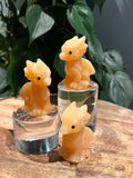 Baby Draakjes