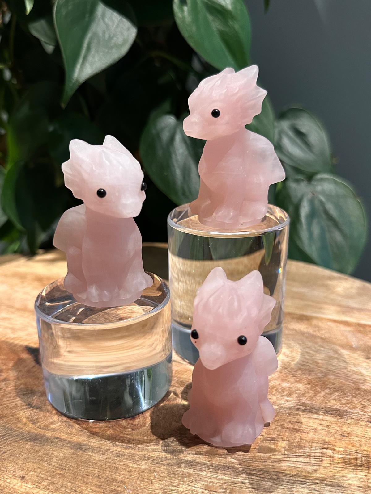 Baby Draakjes