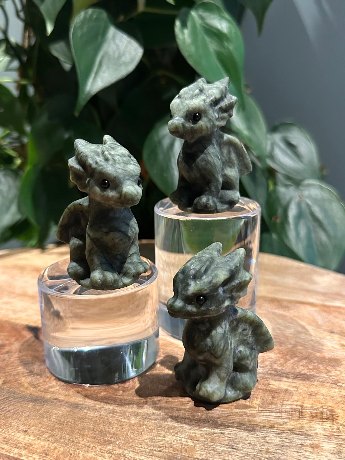 Baby Draakjes