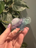 Fluoriet Olifantjes (geluks)